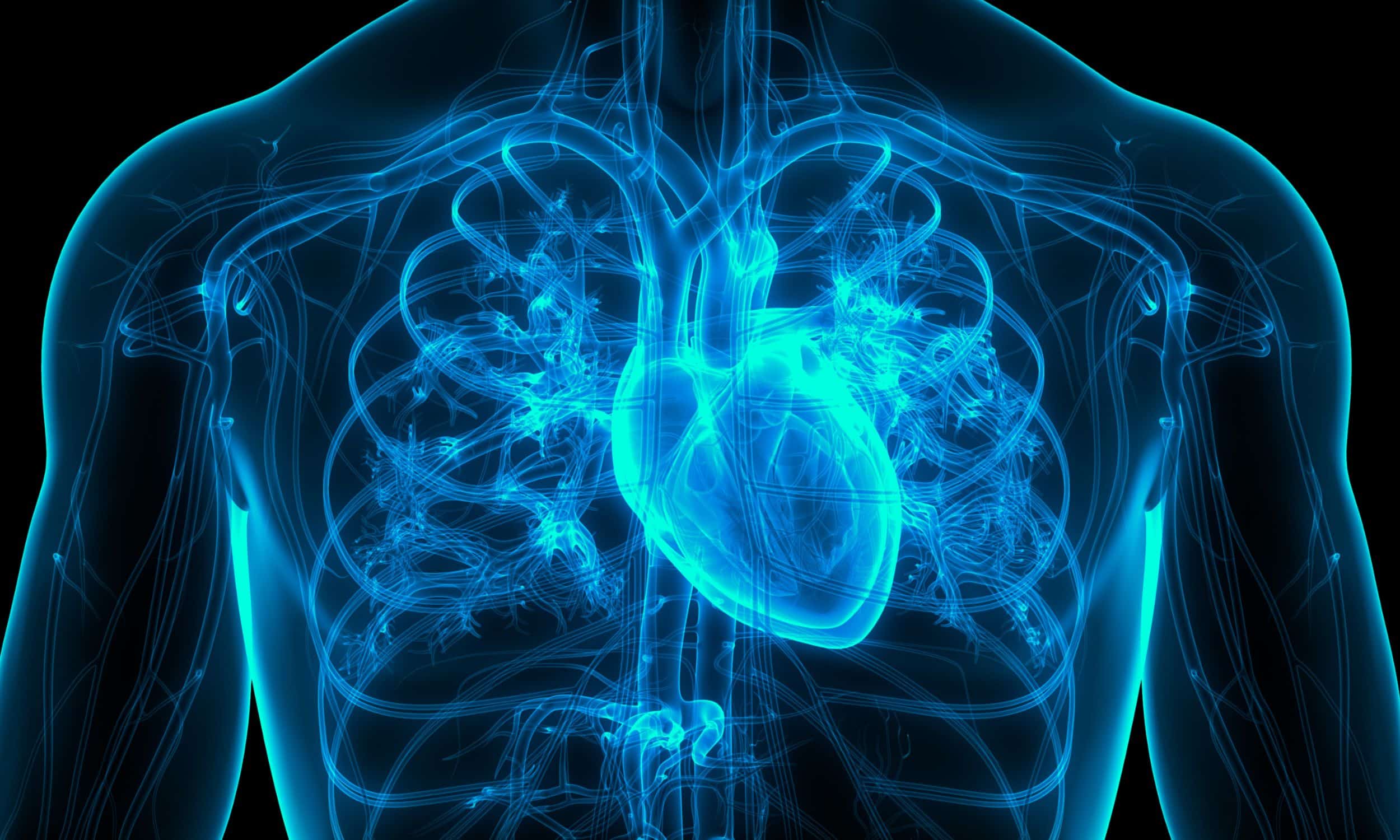 graphic of a blue neon chest with a heart that has Valvular Heart Disease