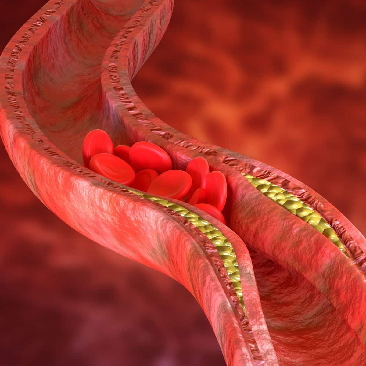 illustration of red blood cells flowing throughout the body